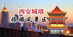 肏女能人屄中国陕西-西安城墙旅游风景区